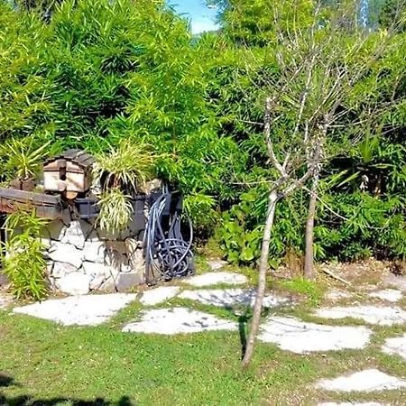 Maison Du Bonheur Borgo  Dış mekan fotoğraf