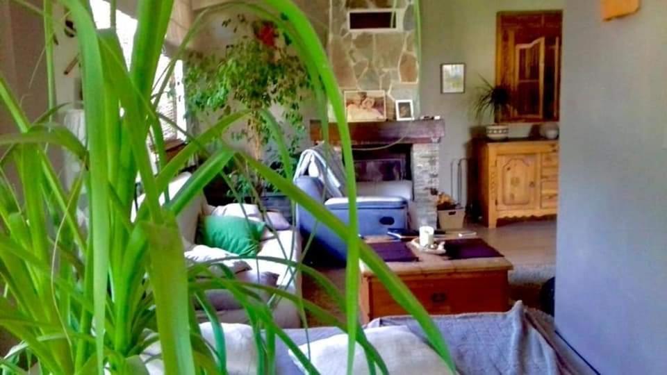 Maison Du Bonheur Borgo  Dış mekan fotoğraf